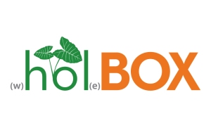 HolBOX logo